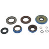 All Balls Differential Seal Kit Fits Polaris - 332884