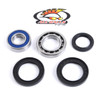 All Balls Wheel Bearing & Seal Kit - 206060