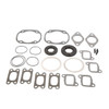 VertexWinderosa Professional Complete Gasket Sets with Oil Seals Fits Moto Ski, Fits Ski-doo - 09-711162B - 287252