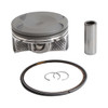VertexWinderosa Cast Replica Piston Kit Fits Polaris - 1000 cc - 189775