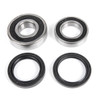 Kimpex Wheel Bearing & Seal Kit - 162048