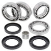 All Balls Differential Bearing & Seal Kit Fits Arctic cat - 207662