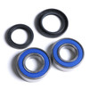 All Balls Wheel Bearing & Seal Kit - 206080