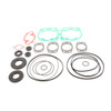 VertexWinderosa Professional Complete Gasket Sets with Oil Seals Fits Ski-doo - 09-711165D - 304250