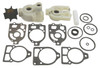 Sierra Water Pump Kit - 728063