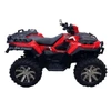Direction 2 Overfender POLARIS - 174097
