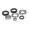 All Balls Differential Bearing & Seal Kit CAN-AM (BRP) - 208938