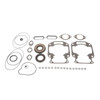VertexWinderosa Professional Complete Gasket Sets with Oil Seals Fits Arctic cat - 09-711190 - 287008