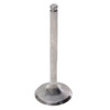 Hot Cams Exhaust Valve - Steel & titanium - 035033