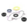 VertexWinderosa Water Pump Repair Kit SKI-DOO - 304818