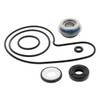 VertexWinderosa Water Pump Repair Kit Fits Arctic cat - 304827