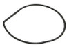 Sierra Gasket Water Pump - 722393