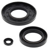 VertexWinderosa Crankcase Oil Seal Sets SKI-DOO - 09-55102 - 304487