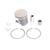 PRO-X Cast Piston Kit POLARIS - 488 cc - 291720