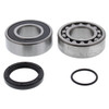 All Balls Jack Shaft Bearing & Seal Kit - 306744