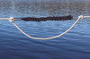 Davis Shockle LineSnubber 20" - Nylon - Bungee Rope - 735041