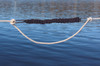 Davis Shockle LineSnubber Nylon - Bungee Rope - 735041