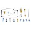 All Balls Carburetor Repair Kit Fits Arctic cat - 209864