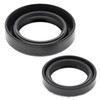 VertexWinderosa Crankcase Oil Seal Sets Fits Sachs, Fits Ski-doo - 09-55151 - 304425