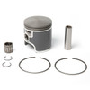 PRO-X Cast Piston Kit Fits Polaris - 550 cc - 291725