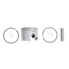 BRP Evinrude Piston Kit Fits Johnson/Evinrude - 824279