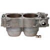 Cylinder Works Standard Cylinder Kit POLARIS - 900 cc - Nickel Silicon Carbide - 164077