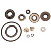 BRP Evinrude Gearcase Seal Kit 823393 - 823393