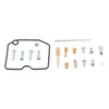 All Balls Carburetor Repair Kit Fits Arctic cat - 209134
