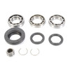 All Balls Differential Bearing & Seal Kit Fits Honda - 207859
