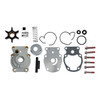 BRP Evinrude Water Pump Kit - 821682
