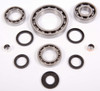 All Balls Differential Bearing & Seal Kit Fits Polaris - 206276