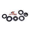 All Balls Differential Bearing & Seal Kit Fits Honda - 206314