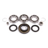 All Balls Differential Bearing & Seal Kit Fits Honda - 206320