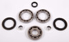 All Balls Differential Bearing & Seal Kit Fits Polaris - 206335