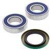 Pivot Works High Performance Wheel Bearing - 347578