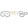 All Balls Carburetor Repair Kit POLARIS - 209224
