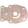 BRP Evinrude Plate - 823336