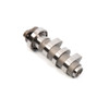 Hot Cams Camshaft 2 - 020624