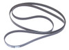 Sierra Marine Belt, Serpentine - 774656