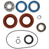 All Balls Differential Seal Kit Fits Arctic cat - 347079
