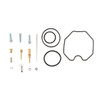 All Balls Carburetor Repair Kit Fits Can-am - 307339