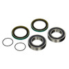 Pivot Works Wheel Bearing Kit - 054896