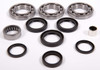 All Balls Differential Bearing & Seal Kit Fits Polaris - 206786