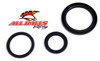 All Balls Differential Seal Kit Fits Yamaha - 206866