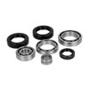 All Balls Differential Seal Kit Fits Polaris - 336991