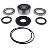 All Balls Differential Bearing & Seal Kit Fits Polaris - 206963