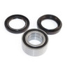 EPI Wheel Bearing & Seal Kit - 394033