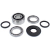 All Balls Differential Bearing & Seal Kit Fits Polaris - 206964