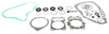 VertexWinderosa Complete Gasket Set with Oil Seals - 811 Fits Arctic cat - 159500 - 159500