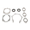 VertexWinderosa Professional Complete Gasket Sets with Oil Seals Fits Arctic cat - 09-711034 - 287115